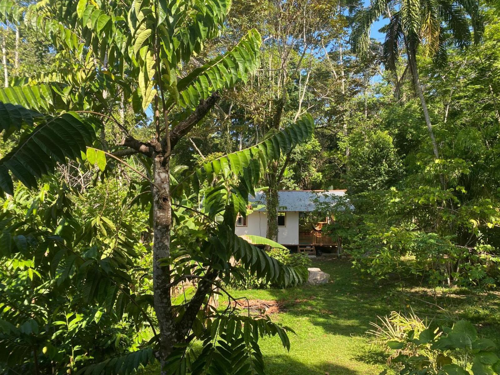 Caribbean Retreats *